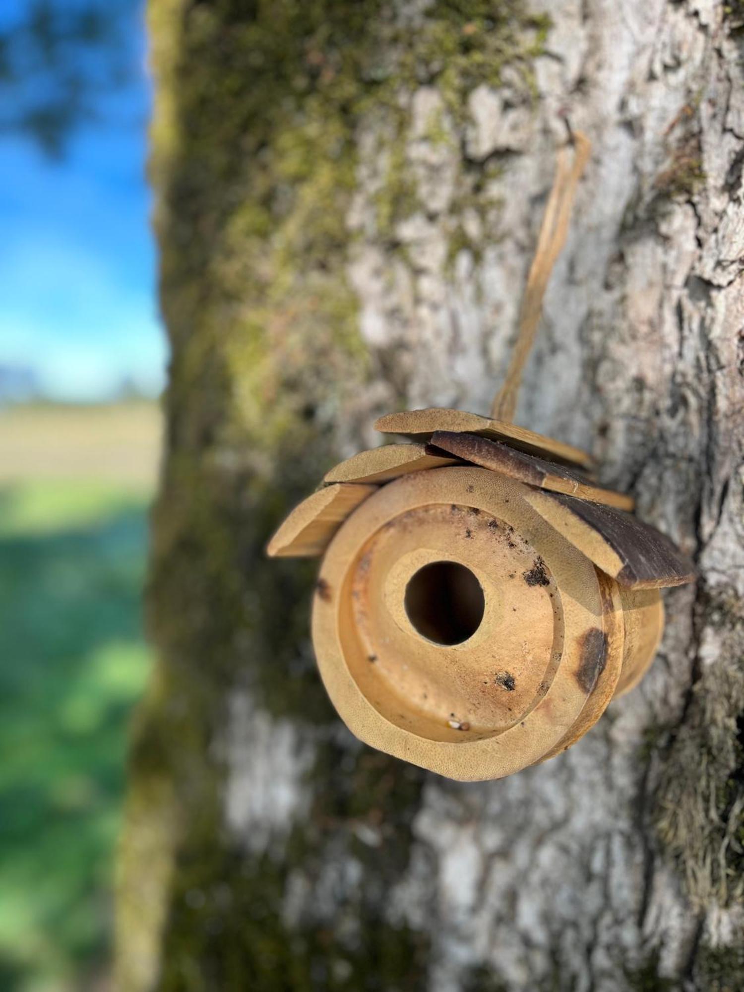 Gite A L'Ombre Des Magnolias Lesterps Kültér fotó